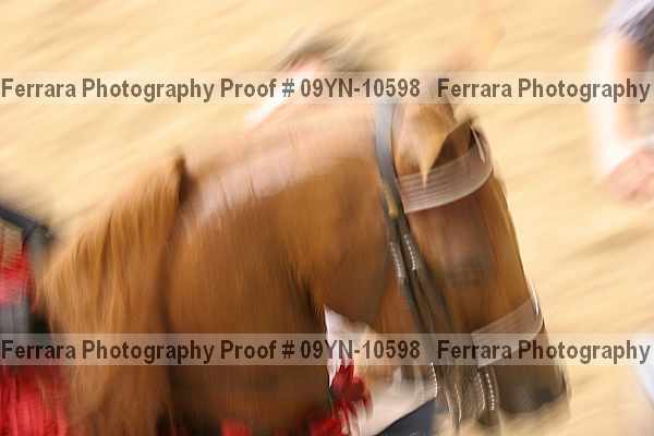 Proof 09yn-10598