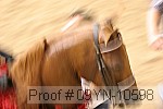 09yn-10598 proof