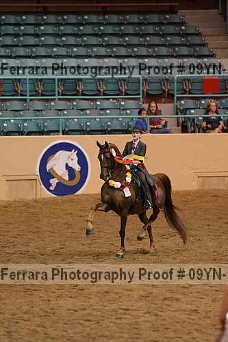 Proof 09yn-10599