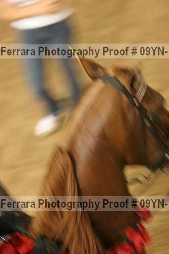 Proof 09yn-10601