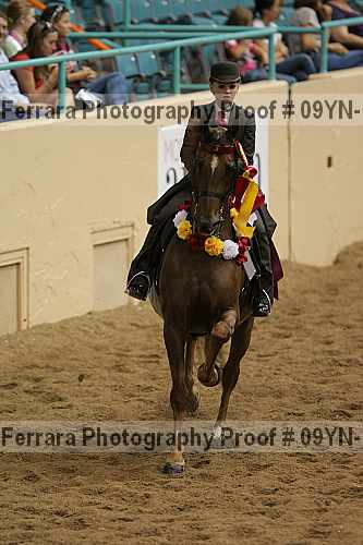 Proof 09yn-10608