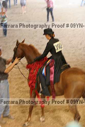 Proof 09yn-10610