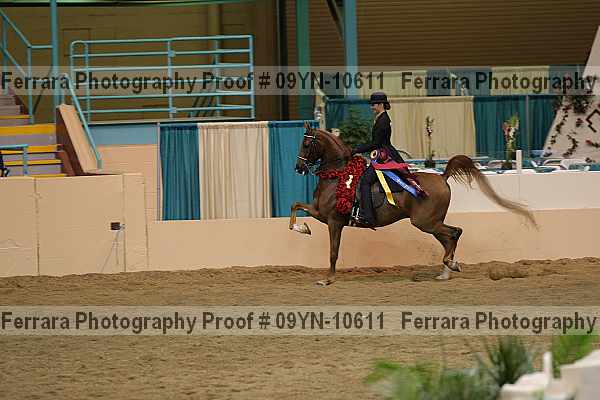 Proof 09yn-10611