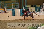 09yn-10611 proof