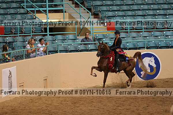 Proof 09yn-10615