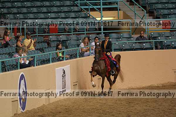 Proof 09yn-10617
