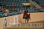 09yn-10617 proof
