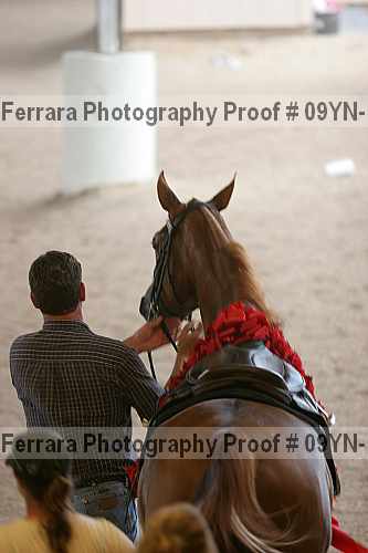 Proof 09yn-10627