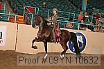 09yn-10632 proof