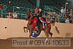 09yn-10633 proof