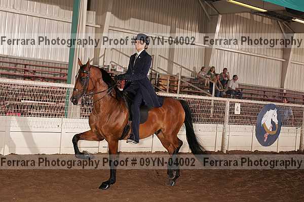 Proof 09yn-04002