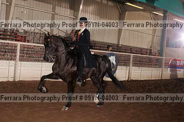 Proof 09yn-04003