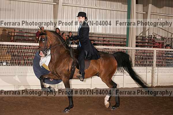 Proof 09yn-04004
