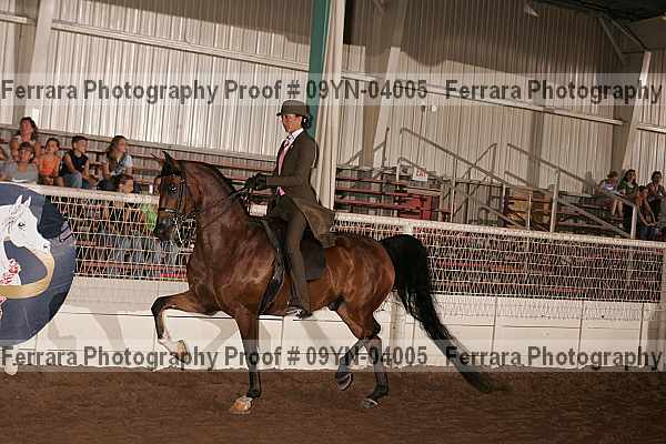 Proof 09yn-04005