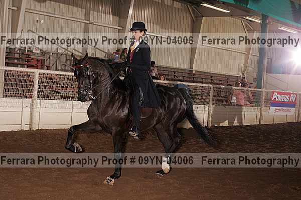 Proof 09yn-04006