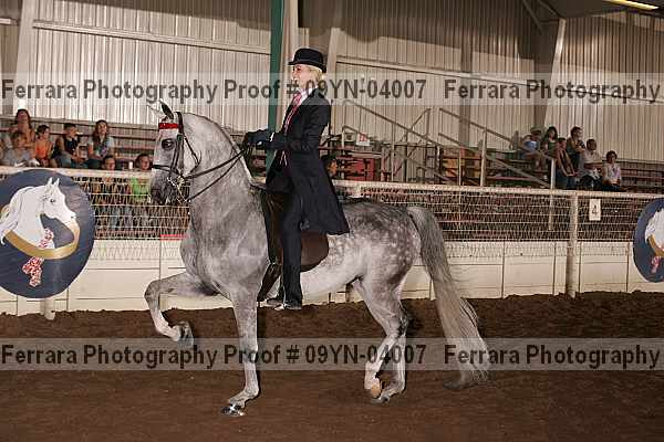 Proof 09yn-04007