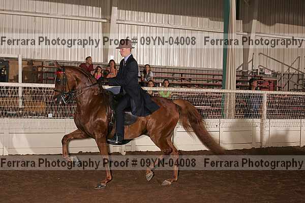 Proof 09yn-04008