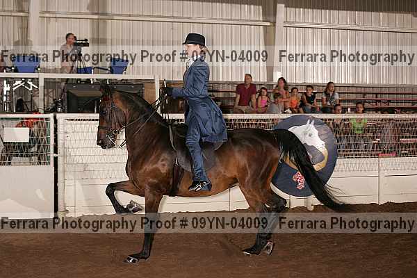 Proof 09yn-04009