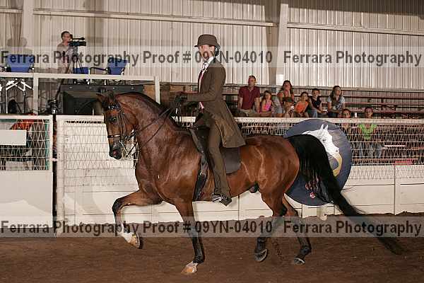 Proof 09yn-04010