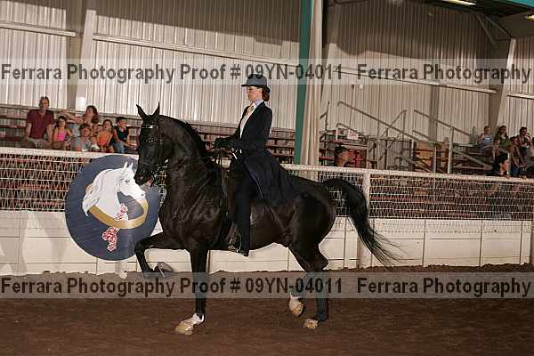 Proof 09yn-04011