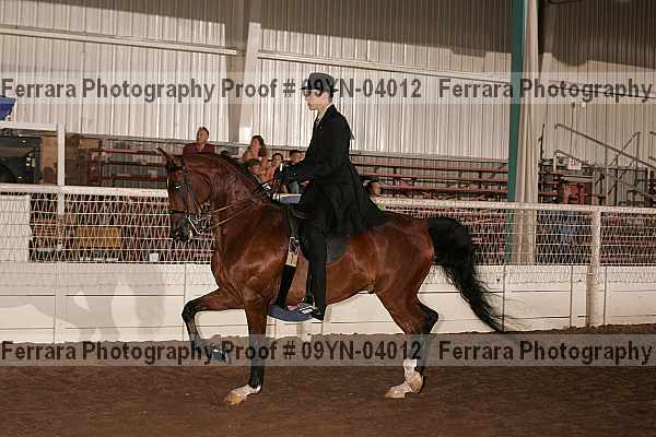 Proof 09yn-04012