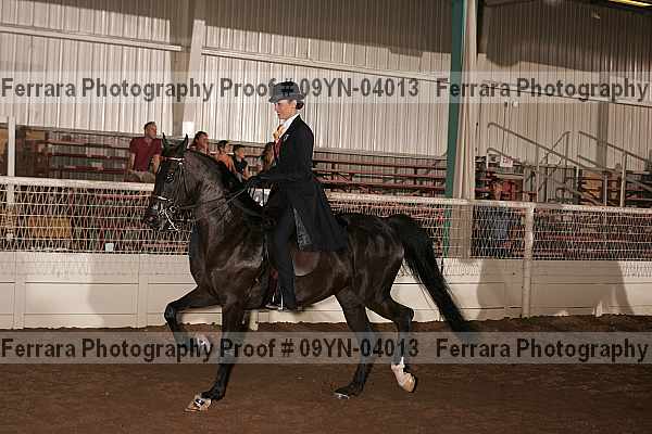 Proof 09yn-04013