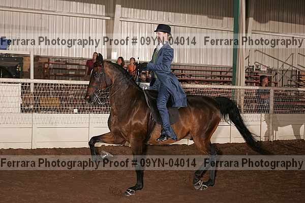Proof 09yn-04014