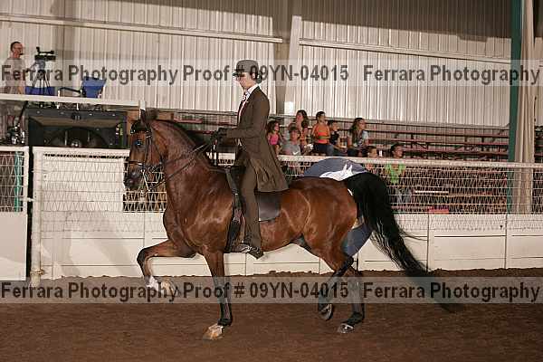 Proof 09yn-04015