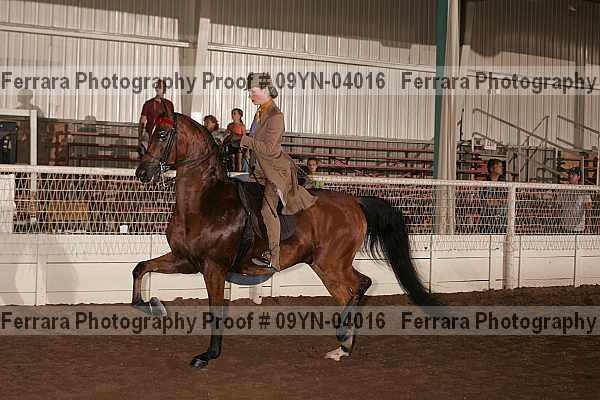 Proof 09yn-04016