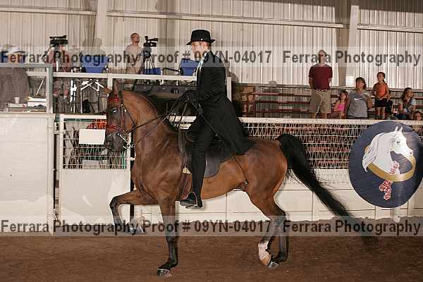 Proof 09yn-04017