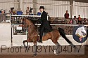 09yn-04017 proof
