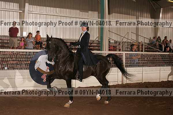 Proof 09yn-04018