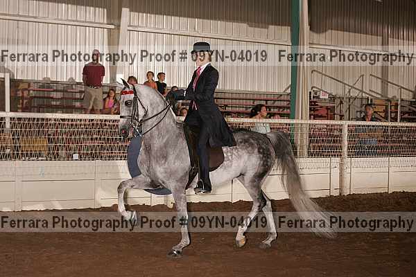 Proof 09yn-04019