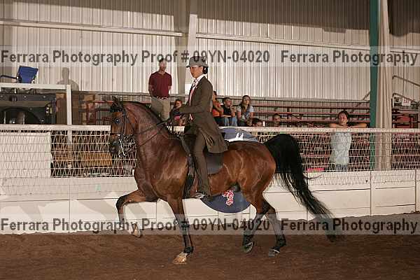 Proof 09yn-04020
