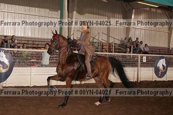 Proof 09yn-04021