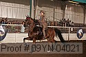 09yn-04021 proof