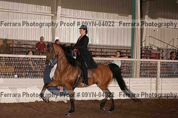 Proof 09yn-04022