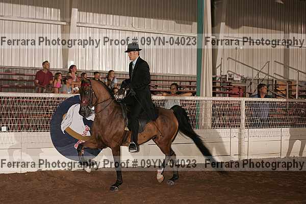 Proof 09yn-04023