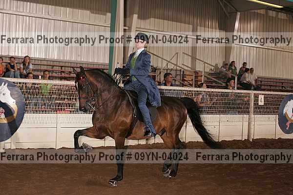 Proof 09yn-04024