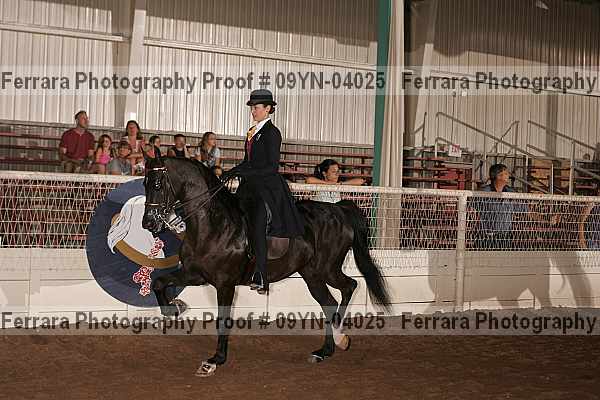 Proof 09yn-04025