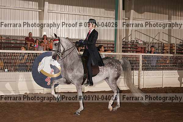 Proof 09yn-04026