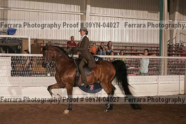 Proof 09yn-04027