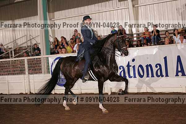 Proof 09yn-04028