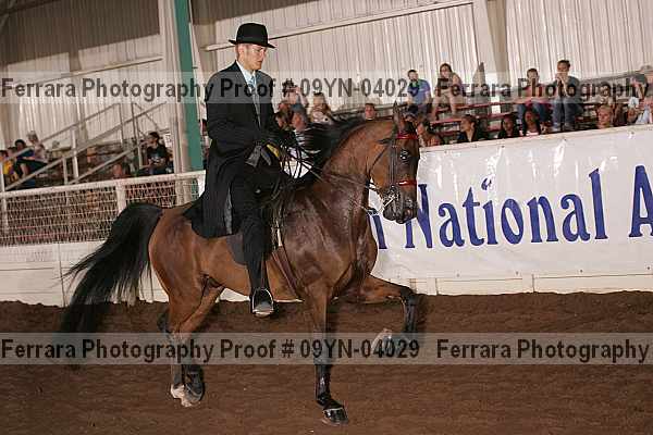 Proof 09yn-04029