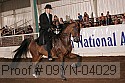 09yn-04029 proof