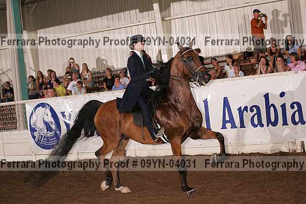 Proof 09yn-04031
