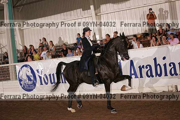 Proof 09yn-04032