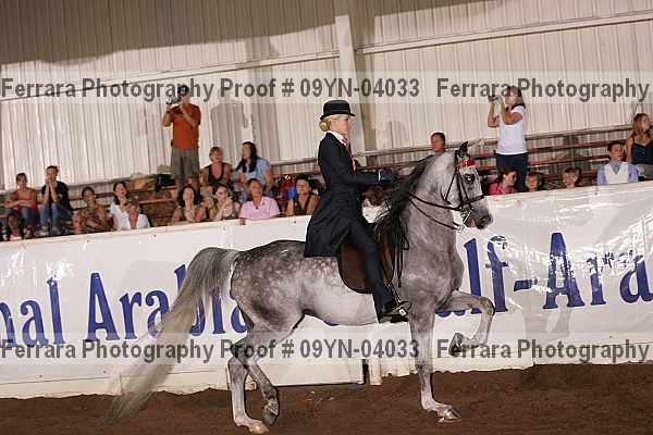 Proof 09yn-04033