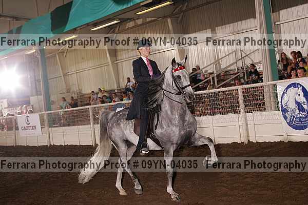 Proof 09yn-04035