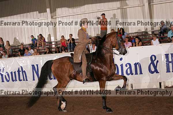 Proof 09yn-04036